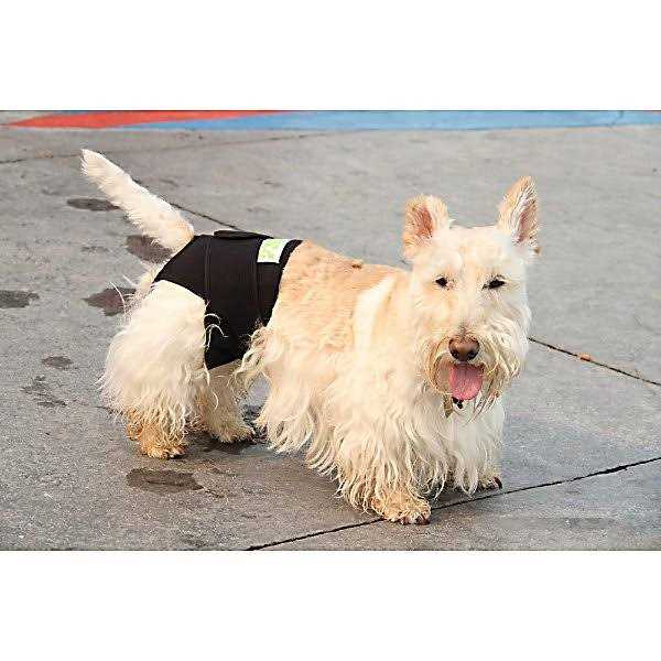 Dog Wrap E9661