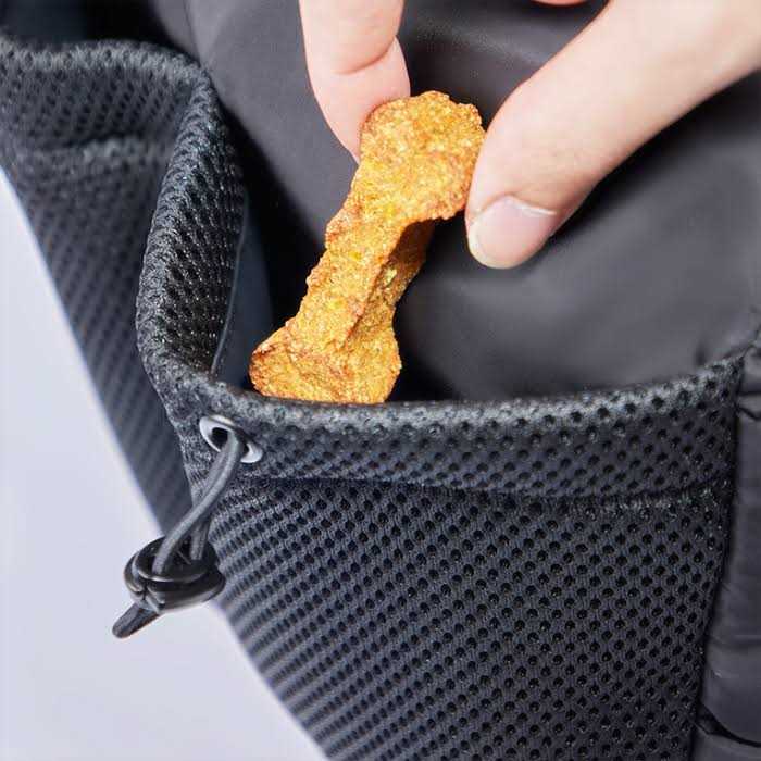 Dog Walking Bag I865