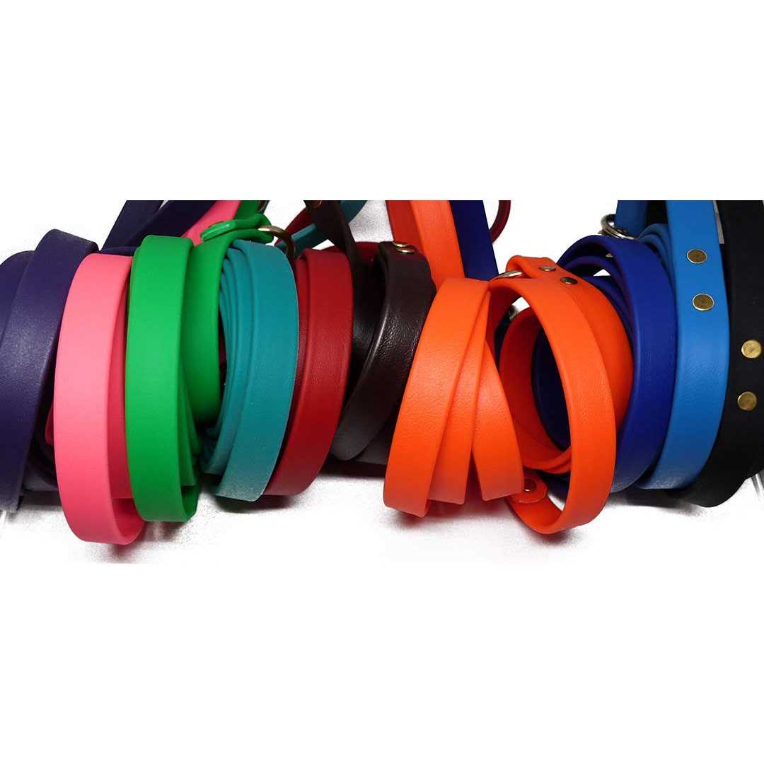 Dog Leash T75986